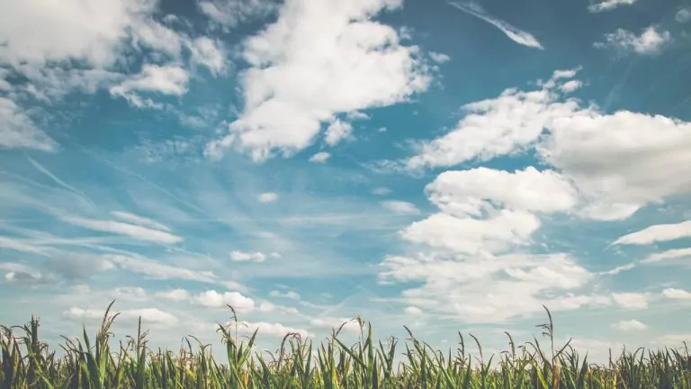 Z głową w chmurach? Jaką chmurę wybrać...